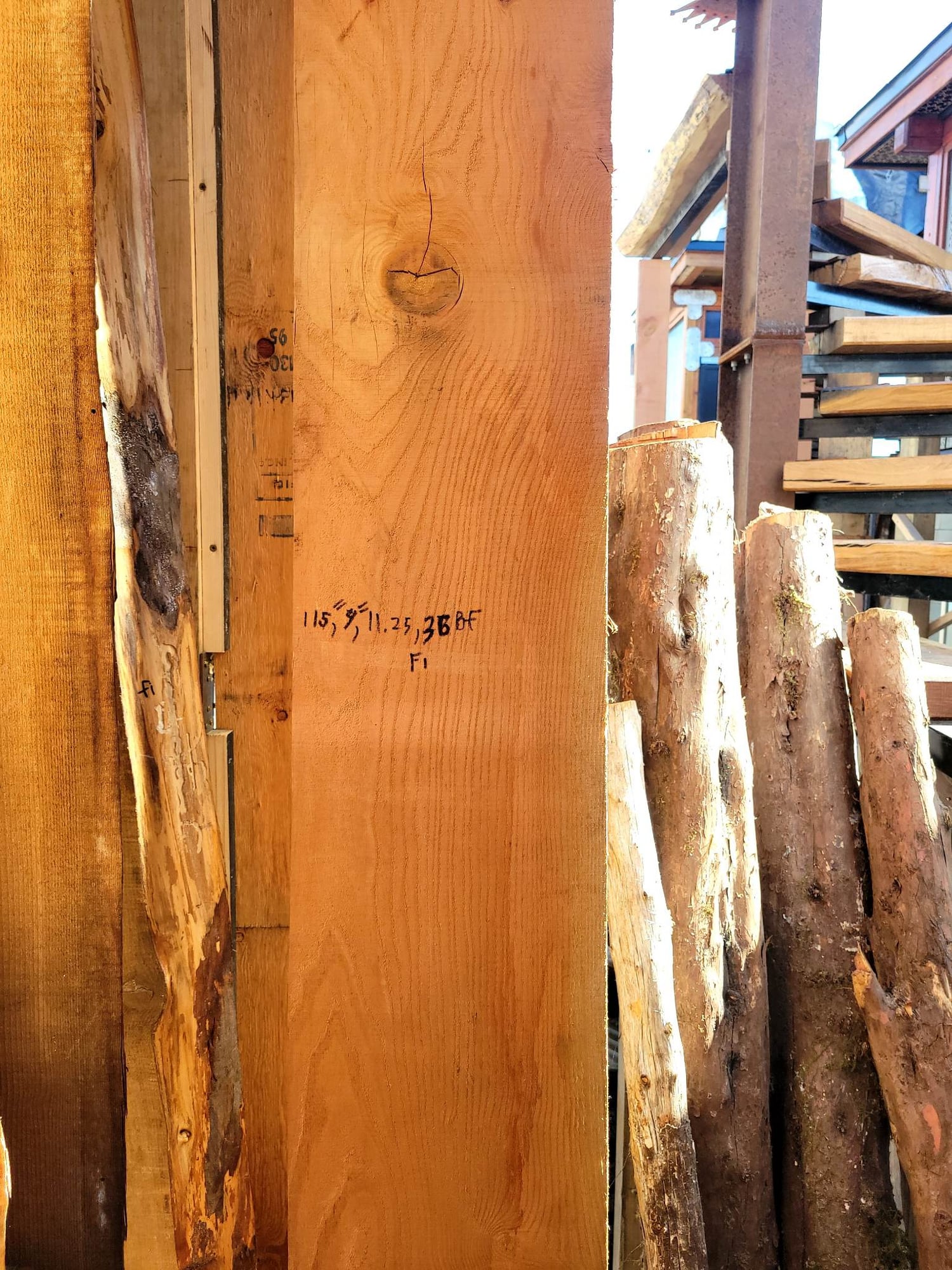 Douglas Fir